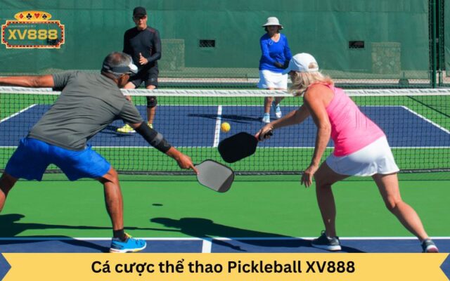 Cá cược thể thao Pickleball XV888