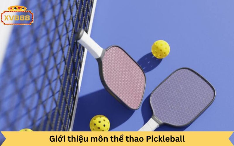 giới thiệu về thể thao Pickleball